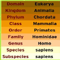 Humans Taxonomic Classification